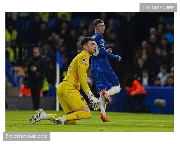 突发：狼队对阵切尔西比赛因场外安全警报短暂中断